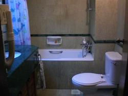 Holland Peak (D10), Condominium #85483002